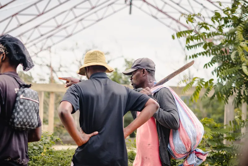 Too Many Voices, One Microphone: Rethinking Communications Governance for Member-Owned Agricultural Cooperatives