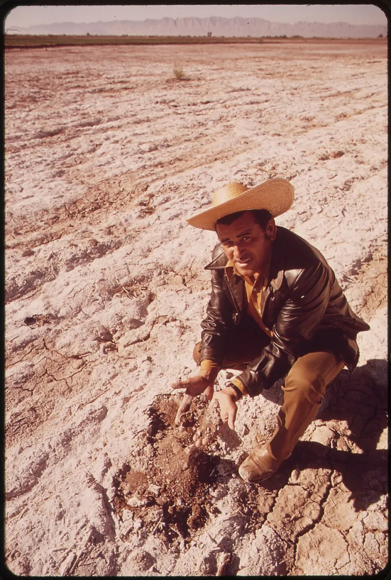 From Soil Samples to Story Arcs: Five Narrative Structures That Make Agricultural Data Impossible to Ignore