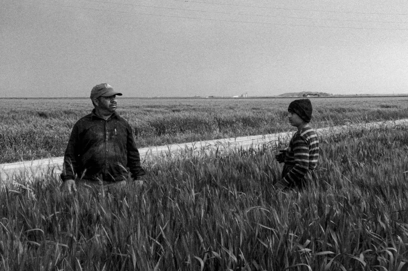 What Happens Between Announcements: The Quiet Interval Where Agricultural Brand Trust Is Won or Lost